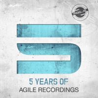 Artwork for 5 Years of Agile Recordings by Various Artists