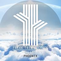 Artwork for Phoenix by Wanbs