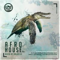 Artwork for AFRO HOUSE Vol 1 by Hallex M