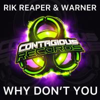 Artwork for Why Don't You by Rik Reaper