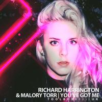 Artwork for You've Got Me by Richard Harrington