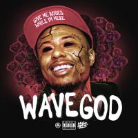 Artwork for Wave God by P.T. Mulah