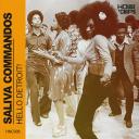 Artwork for Hello Detroit!