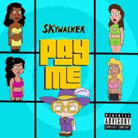 Artwork for Pay Me by Skywalker