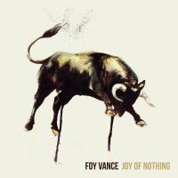 Artwork for Joy of Nothing by Foy Vance