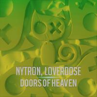 Artwork for Doors Of Heaven by Nytron