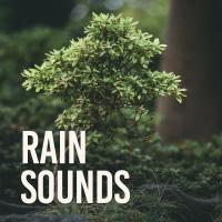 Artwork for Rain Sounds by Rain Sounds