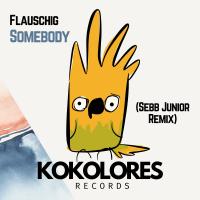 Artwork for Somebody (Sebb Junior Remix) by Flauschig