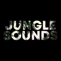 Artwork for Jungle Sounds by Relaxing Sounds