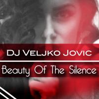 Artwork for Beauty Of The Silence by DJ Veljko Jovic