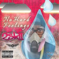 Artwork for No Hard Feelings by 2SKII