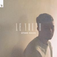 Artwork for Other Voices by Le Youth
