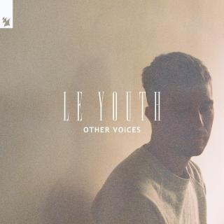Artwork for Other Voices