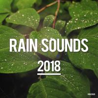 Artwork for Rain Sounds 2018 by Rain Sounds