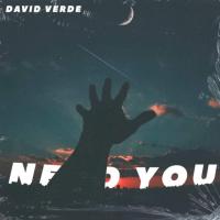 Artwork for Need You by David Verde