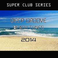 Artwork for Deep Groove Beach Tunes 2014 by Various Artists