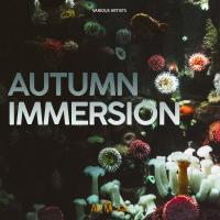Artwork for Autumn Immersion by Various Artists