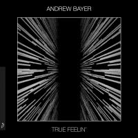 Artwork for True Feelin' by Andrew Bayer