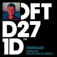 Artwork for Coma Cat (Chloé Caillet Remix) by Tensnake