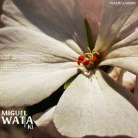 Artwork for Wata Ki by Miguel Resendiz