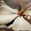 Artwork for Wata Ki (Alexander Zabbi Remix)