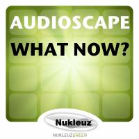 Artwork for What Now? by Audioscape