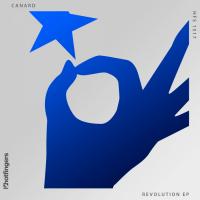 Artwork for Revolution by Canard