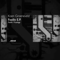 Artwork for Feellit E.P. by Koen Groeneveld