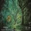 Artwork for Down The Well (Yamilet Vivas & The Blacks Shamanes Remix)