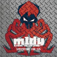 Artwork for Speedcore For DJs by M1dy