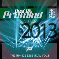 Artwork for Best Of Promind Recordings 2013 by Various Artists