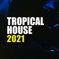 Artwork for Tropical House 2021 by Tropical House