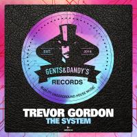 Artwork for The System by Trevor Gordon