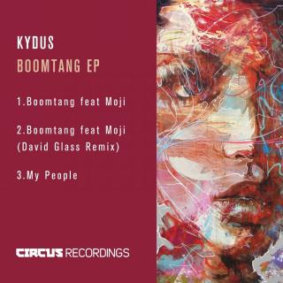 Artwork for Boomtang