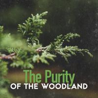 Artwork for The Purity of the Woodland by Nature Sound Collection