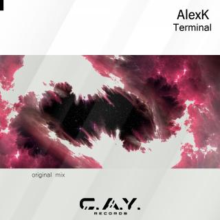 Artwork for Terminal