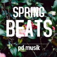 Artwork for Spring Beats by Various Artists