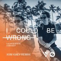 Artwork for I Could Be Wrong (Kim Kaey Remix) by Lucas & Steve