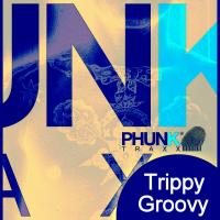 Artwork for Trippy Groovy by Various Artists