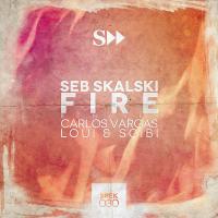 Artwork for Fire! by Seb Skalski