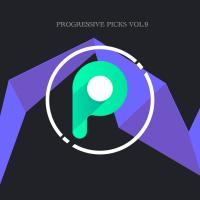Artwork for Progressive Picks Vol.9 by Various Artists