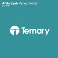 Artwork for Perfect World by Attila Syah