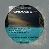 Artwork for Endless by Angelo Brandi