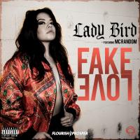 Artwork for Fake Love (feat. MC Random) by Lady Bird