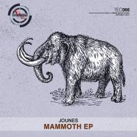 Artwork for Mammoth EP by Jounes