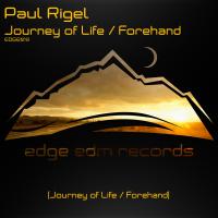 Artwork for Journey of Life / Forehand by Paul Rigel