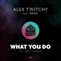 Artwork for What You Do by Alex Twitchy