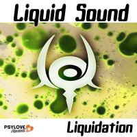 Artwork for Liquidation by Liquid Sound