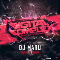 Artwork for Shake It Down by DJ Maru