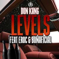 Artwork for Levels (feat. Eroc & Bonaficial) by Don Kang